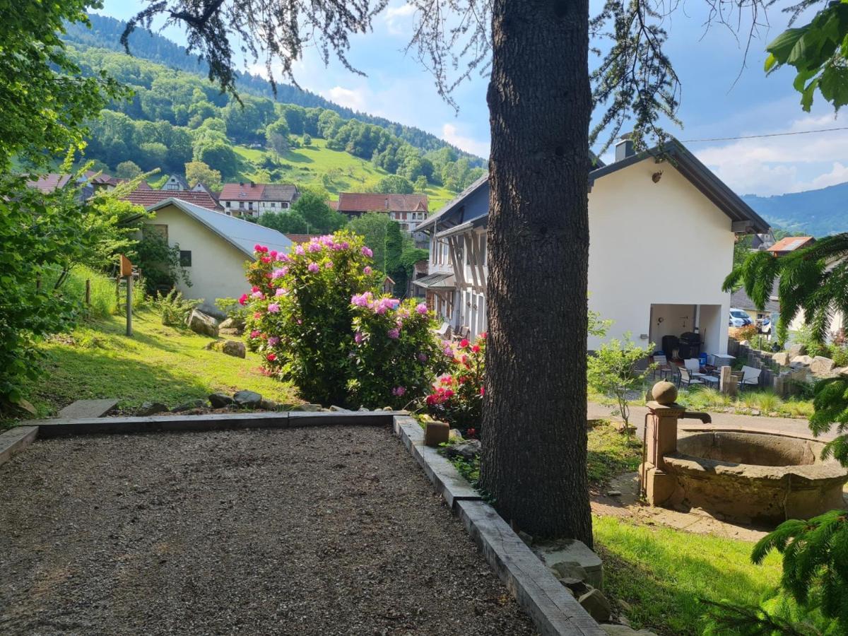 Locations Des 3 Sommets Avec Sauna Et Spa En Alsace Sondernach ภายนอก รูปภาพ