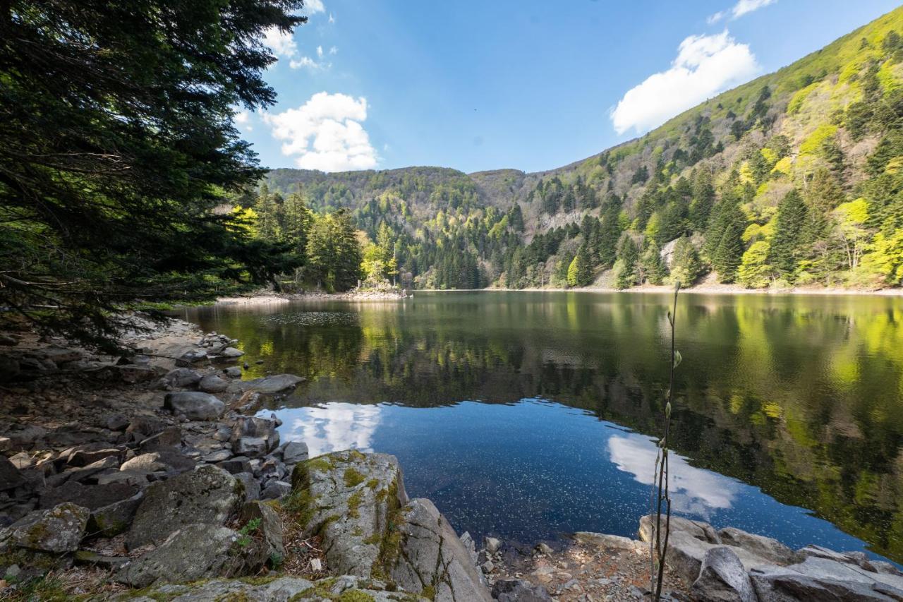 Locations Des 3 Sommets Avec Sauna Et Spa En Alsace Sondernach ภายนอก รูปภาพ