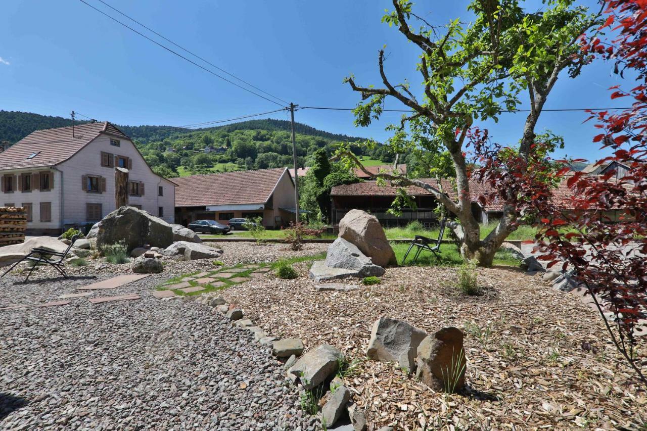 Locations Des 3 Sommets Avec Sauna Et Spa En Alsace Sondernach ภายนอก รูปภาพ